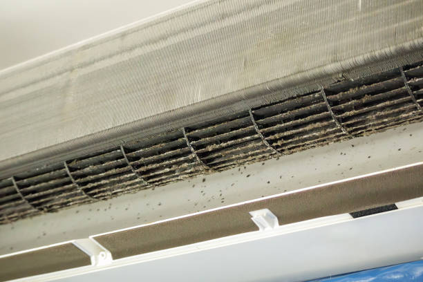 Best Air Duct Sanitization & Disinfection in Woodmere, NY